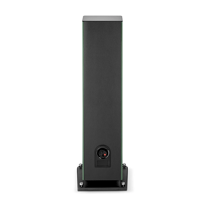 Floorstanding Speakers Focal Aria Evo X N4 Green Moss - img.3