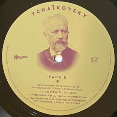 Vinyl Record Various Artists - The Masterpieces Of Pyotr Ilitch Tchaikovsky LP