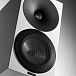 Bookshelf speakers Amphion Argon1 Standard White - img.6