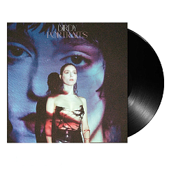 Vinyl Record Birdy - Portraits LP