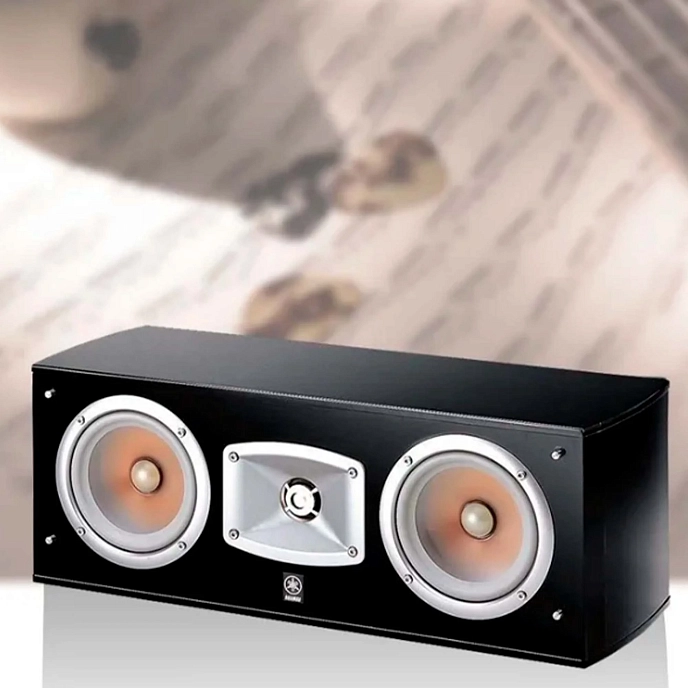 Central Channel Yamaha NS-C444 Black - img.7