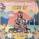 Vinyl Record Various – BUDDHA-BAR BEACH - BEST OF BY RAVIN 2LP - img.0