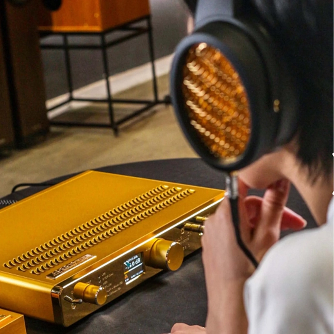 Headphone Amplifiers and DACs Warwick Acoustics Aperio Amplifier Gold - img.22