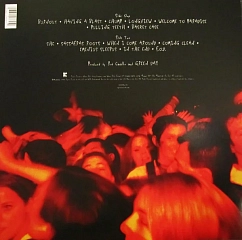 Vinyl Record Green Day - Dookie