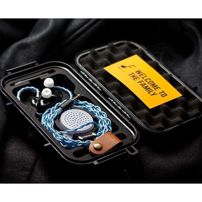 In-ear headphones FATfreq Maestro SE Universal Blue - img.7
