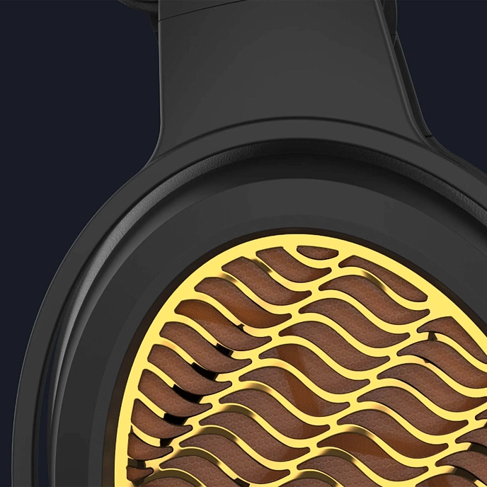 Headphone Amplifiers and DACs Warwick Acoustics Aperio Amplifier Gold - img.17