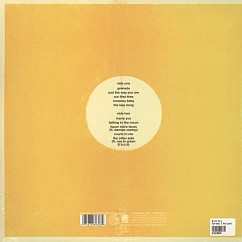 Vinyl Record Bruno Mars - Doo-Wops & Hooligans