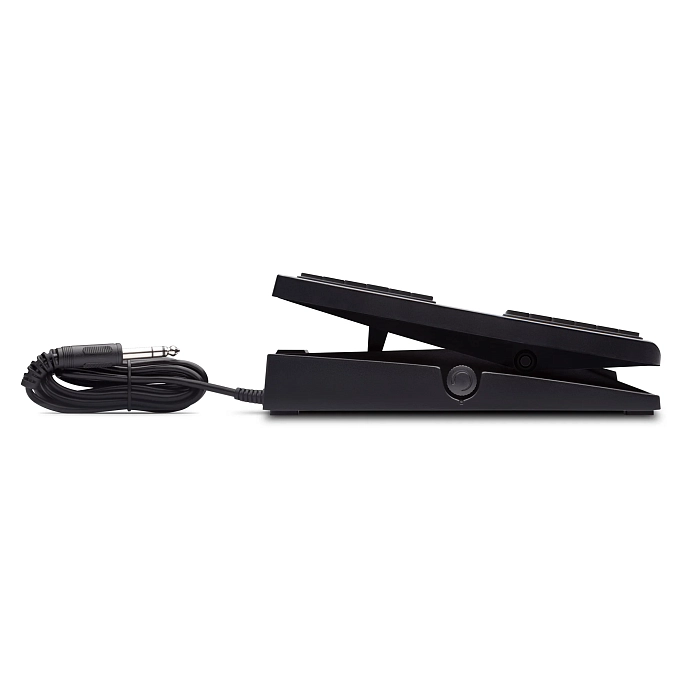 Keyboard Pedal AKAI PRO Expression Pedal Black - img.1