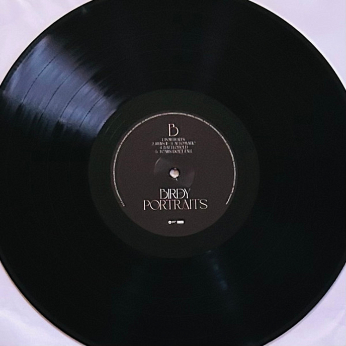 Vinyl Record Birdy - Portraits LP - img.5