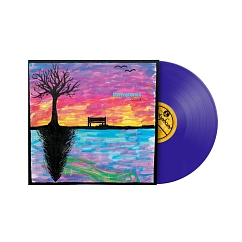 Vinyl Record Stereophonics - Kind (Purple) LP