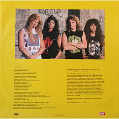 Vinyl Record Megadeth - Rust In Peace LP