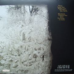 Vinyl Record Bon Iver - For Emma, Forever Ago LP