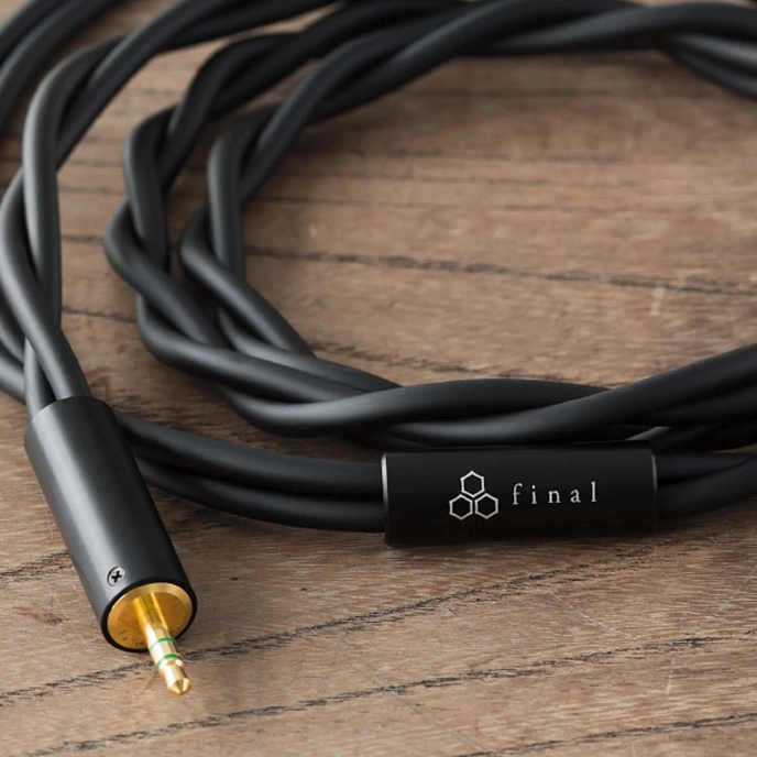 Over-ear headphones Final Audio D8000 Pro Edition Black - img.9