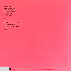 Vinyl Record Jamie Cullum - The Song Society Playlist (Red) (RSD26) LP