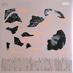 Vinyl Record Mitski - The Land Is Inhospitable And So Are We LP