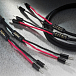 - img.1 Cable ESPRIT Alpha Speaker Cable Banana - Banana 3m - img.1