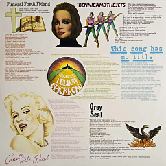 Vinyl Record Elton John - Goodbye Yellow Brick Road