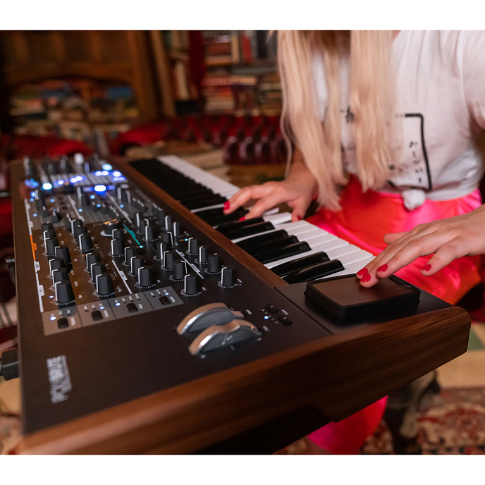 Synthesizer Arturia PolyBrute - img.9