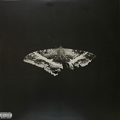 Vinyl Record Kendrick Lamar – To Pimp A Butterfly - 10th Anniversary - 2LP