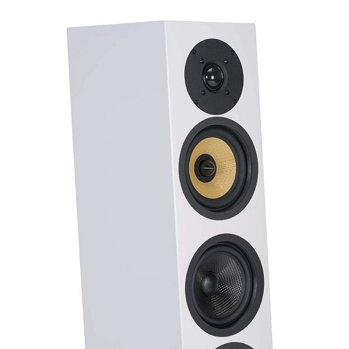 Floorstanding Speakers Davis Acoustics Courbet N 5 White Matte - img.5