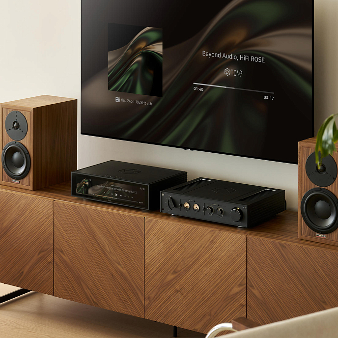 Integrated amplifier Rose RS151 Gen2 Black - img.3