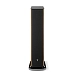 Floorstanding Speakers Focal Aria Evo X N2 Walnut - img.5