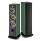 Focal Aria Evo X N4 Green Moss