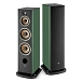 Floorstanding Speakers Focal Aria Evo X N4 Green Moss - img.0