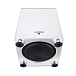 Subwoofer Canton Smart Sub 8 White - img.4