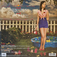 Vinyl Record Katy Perry – One Of The Boys LP