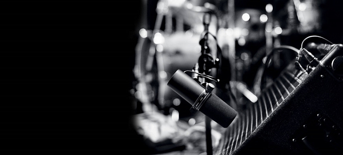 Vocal microphone Shure SM7B - img.10