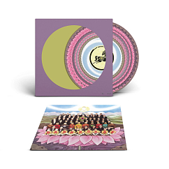 Vinyl Record George Harrison - Dark Horse (Zoetrope) (RSD26) LP