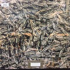 Vinyl Record Siouxsie And The Banshees - Juju LP