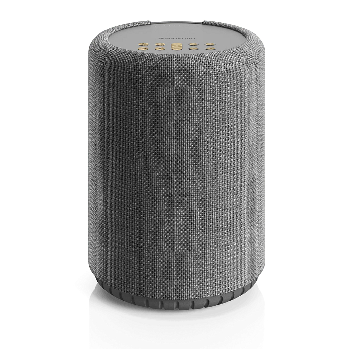 Portable speaker Audio Pro A10 MKII W Dark Grey - img.0