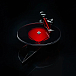 Turntable Pro-Ject ART - AC/DC - img.5