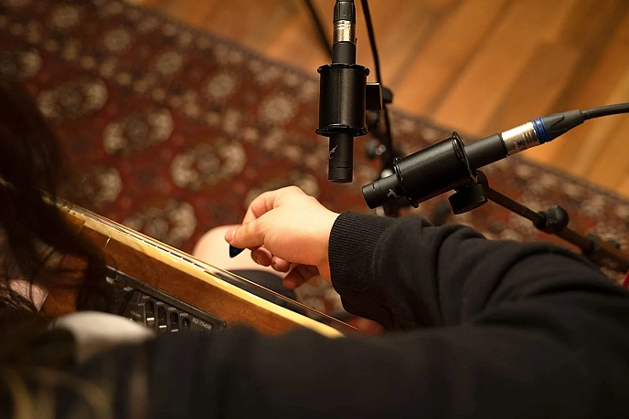 Instrument microphone Antelope Audio Edge Note - img.4