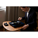- img.9 Turntable Pro-Ject Debut Carbon EVO Satin Yellow - img.9