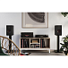 Bookshelf speakers Dali OPTICON 2 MK2 Tobacco Oak - img.4