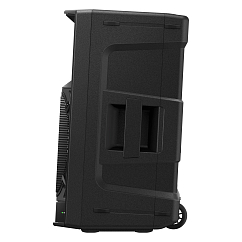 Speaker System Pioneer AlphaTheta Wave-Eight Black