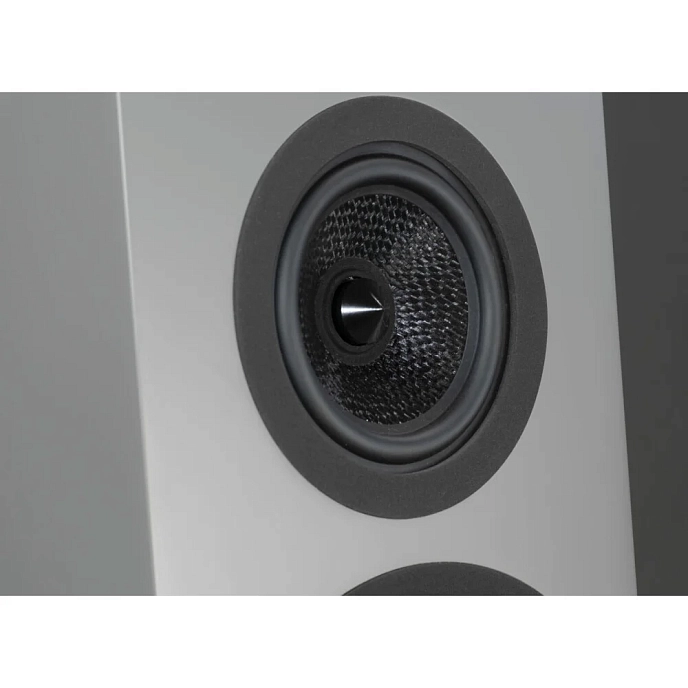 Floorstanding Speakers Davis Acoustics Courbet N 8 Grey Matt - img.9