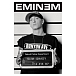 Souvenir Pyramid Eminem Mughshot (Maxi Poster) - img.0