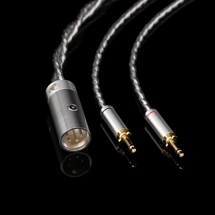 Over-ear headphones Final Audio D8000 DC Pro Edition Silver - img.11