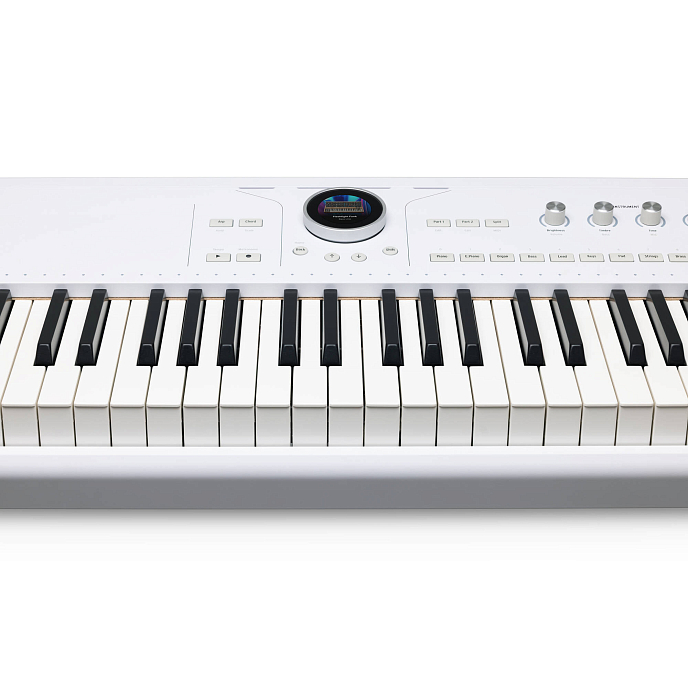 Synthesizer Arturia AstroLab 88 White - img.8
