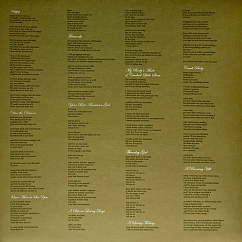 Vinyl Record Mitski – Puberty 2 LP