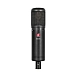 Studio microphone SE Electronics SE2200 - img.0 Studio microphone SE Electronics SE2200 - img.0