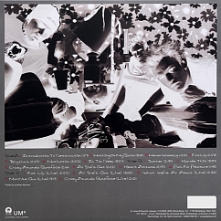 Vinyl Record Sum 41 - All Killer No Filler (25th Anniversary) (Iron Gray/Silver) - 2LP