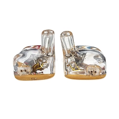 IEMs headphones Aurian Canyon Universal