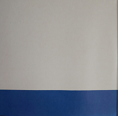 Vinyl Record Hot Chip - Joy in Repetition (White) - 2LP