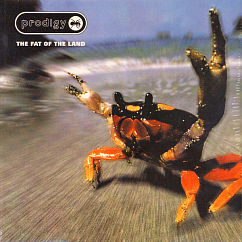 Vinyl Record Prodigy - The Fat Of The Land