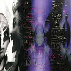 Vinyl Record David Bowie – Earthling - 2LP